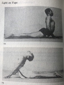 Light on yoga бхуджангасана