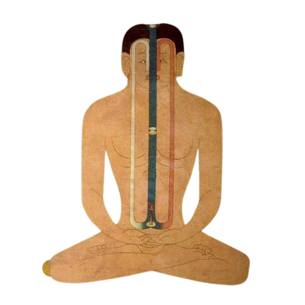 медитації йоги медитации йоги