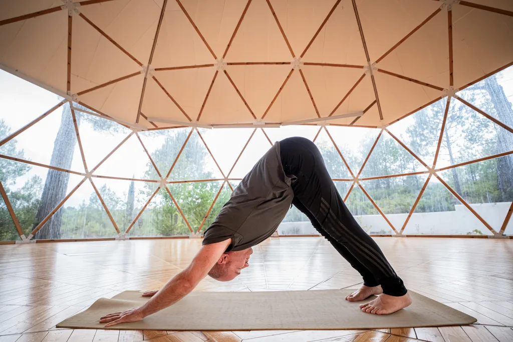 Dimitrios Danilidis Yoga Online